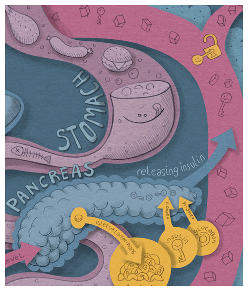 BLOODSUGAR REGULATION