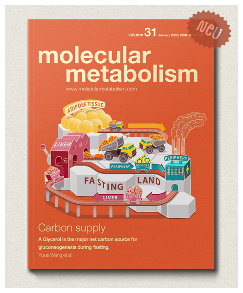 MOLECULAR METABOLISM Vol. 31